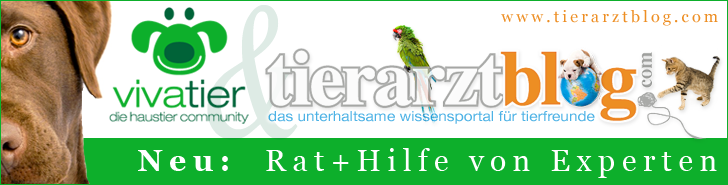 Der ONLINE DOC beantwortet deine Fragen zu Haustier und Veterin�rmedizin!