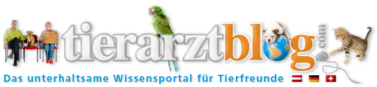 www.tierarztblog.com