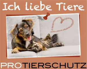 Ich liebe Tiere | PRO TIERSCHUTZ