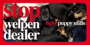 stop welpen dealer, fight puppy mills