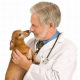 Grippostad C Kapseln giftig für Hund? (572)