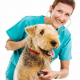 Vestibular Syndrom beim Hund (538)