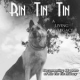 Hollywood Dog Report: Rin Tin Tin