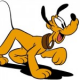 Hollywood Dog Report: Pluto