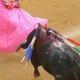 Stierkampfverbot in Katalonien - Fakten zum Thema