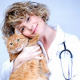 Zahnfleischentzündung / FORL bei Katze (12)