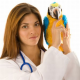 Ausbildung zur Tiermedizinischen Fachangestellten (642)