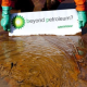 Greenpeace-Protest: BP - NEIN TANKE