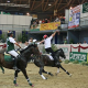 Österreichische Staatsmeisterschaft in Horse-Ball