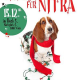 X-Mas Charity für Animalhope Tierhilfe Nitra