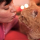 Sorgenfreier Weihnachtsurlaub: So klappt’s am besten mit dem Catsitter