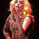 Lady Gaga Fan schlachtet Katze für Konzertoutfit