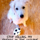 Fußball EM 2012 auf blutigem Rasen - Hundemassaker in der Ukraine