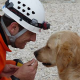 Lebensretter zum Streicheln: Internationaler Tag des Rettungshundes am 29. April