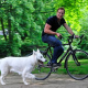 Bello und der Drahtesel: Tipps zum Fahrradfahren mit Hund