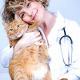Desinfektionsmittel in Tierarztpraxen