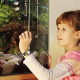 Lebendiger Unterricht: Biologie dank Schulaquarium besser verstehen
