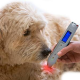 Lasertherapie in der Tiermedizin