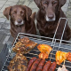 Kein Grillfleisch für Hunde