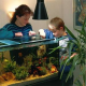 Effiziente Ausstattung & Rabattcodes: Strom sparen beim Warmwasser-Aquarium