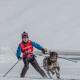 Skijöring: Mit Hund und Skiern auf der Loipe