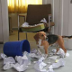 Wenn Tiere einen Anwalt brauchen