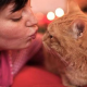 Bürsten und Kämmen: Gepflegtes Katzenfell im Winter