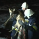 Feuerwehrmänner retten junges Reh in waghalsiger Aktion von Eisscholle