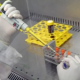 VUW Studiengang Biomedizin & Biotechnologie erzielt Spitzenergebnisse beim internationalen Uni-Ranking 2009