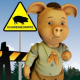 Schweinegrippe fordert 3 Opfer in Deutschland – Auch Tiertrainerin der Harry Potter Filme tot