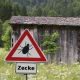 Zecken: Sie sind wieder da – Sie waren nie weg !