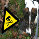 Brutaler Tierhasser gesucht – 8.500 Euro Belohnung!