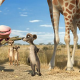 Konferenz der Tiere – Der erste deutsche Animationsfilm in 3D