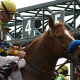 Das Kentucky Derby – Auftakt zu den Triple Crown