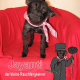 Jayanti – Ein kleiner Hund kommt nach Hause