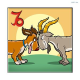 Welcher Hund passt zu mir? – Sternzeichen Steinbock