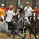 Horse-Ball-Turnier in Niederösterreich