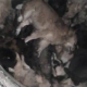 Kein Ende der Grausamkeiten in der Ukraine: Massengrab mit Hunden endeckt