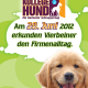 Aktionstag „Kollege Hund“ – Der tierische Schnuppertag