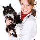 Katzenkrallen pflegen und schneiden: Auf diese Dinge sollte man achten