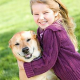 Vorsorge für Heimtiere: OP Versicherung für Hunde