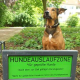 Mobbing in der Hundeauslaufzone: Wie verhalte ich mich richtig?