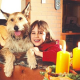 Weihnachtsplätzchen für Hunde: Kostenloses E-Book mit leckeren Rezeptideen & Ernährungstipps