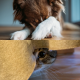 Weihnachten und Silvester: Stress lass nach!