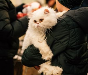 Ukraine – Auf der Flucht mit Haustieren: Wie man helfen kann