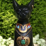 Neun Leben bei Katzen