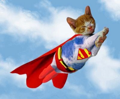 Supercat.jpg