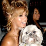 Beyonce
