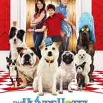 hundehotel