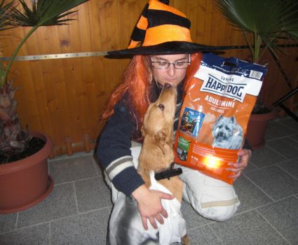 BELLOWEEN: Halloween für Hunde - powered by Happy Dog